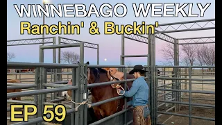 Ranching in the cold - Winnebago Weekly 59