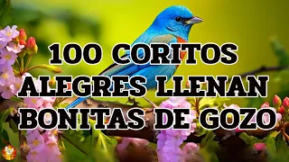 Coros Viejitos Pero Bonitos ~ Coros Pentecostales ~ Mas De 100 Coros Avivamiento Pentecostal