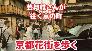 芸舞妓さんが往く京の町 京都花街を歩く kyoto japan walk