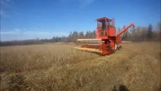 Massey combine.wmv