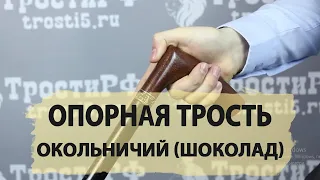 Трость ручной работы | Окольничий Шоколад