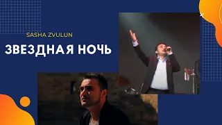 Звёздная ночь - Sasha Zvulun