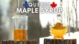 Quebec Produces 70% of the World's Maple Syrup
