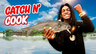 GIANT MULLET CATCH & COOK!!!