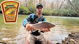 KEYSTONE SELECT PA TROUT FISHING 2024! TROPHY RAINBOW TROUT LANDED!