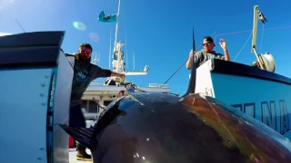 Wicked Tuna: Outer Banks - August 13 - 30 Sec Preview