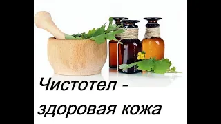 Чистотел от кожных заболеваний