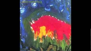 Meat Puppets - What To Do (Bonus Track)