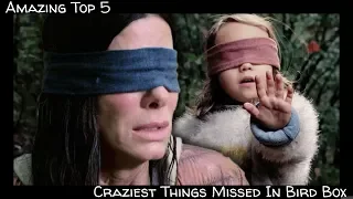 Top 5 Craziest THINGS MISSED In Bird Box!