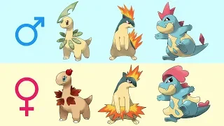 All Gen 2 Starters Pokemon Evolution Gender Difference Fanart