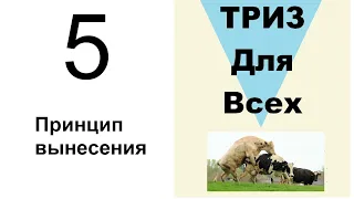 5. ТРИЗ. Курс приемов устранения противоречий. Прием "Принцип вынесения"