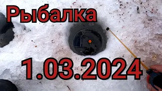 Рыбалка на поплавок 1 марта 2024 г на Лесной реке! ЗАПАХЛО ВЕСНОЙ!Открытие весеннего сезона рыбалки!