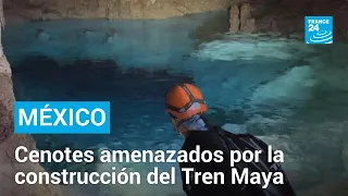 México: cenotes y acceso al agua, amenazados por construcción del Tren Maya • FRANCE 24 Español