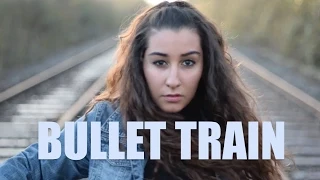 Bullet Train - Stephen Swartz (MUSIC VIDEO)