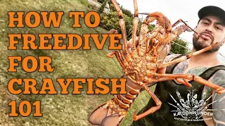 HOW TO FREEDIVE FOR CRAYFISH/LOBSTER - TIPS AND TRICKS