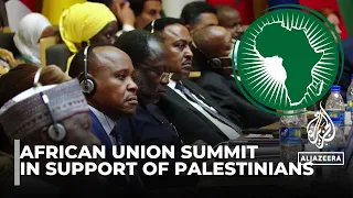 African Leaders Unite in Condemning Israeli War on Gaza