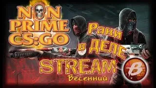 Весенний стрим. NON Prime CS:GO. Раки в деле. Стрим CSGO