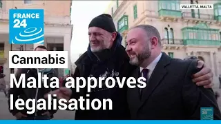 Malta approves legalisation of cannabis for personal use • FRANCE 24 English