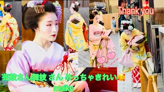 芸鼓さん舞妓 さん めっちゃきれい🥰maiko #舞妓  #maiko #kyoto Kyoto Gion japan 4k