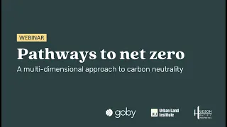 Pathways to net zero: A multi-dimensional approach to carbon neutrality