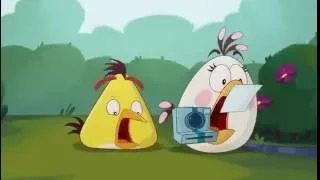 Angry Birds Toons  Photo Chucked clip HD