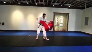 AIKIDO VERSUS FRONT KICK [1]