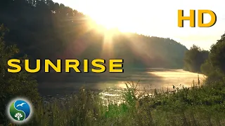 Sunrise, Morning on the river with Fog and Singing birds | Nature Sounds for Relax and Meditation