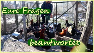 Fragen zur Selbstversorgung & Tierhaltung beantwortet