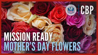 Keeping Imported Flowers Free of Unwanted Pests and Disease | Mission Ready | CBP