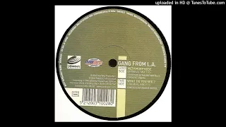 Gang From L.A. - Metamorphose (Original Mix) (2003)