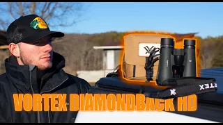 Vortex Diamondback HD Binocular Review (BEST BANG FOR YOUR BUCK!?)