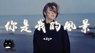 Zy - 你是我的風景（原唱：何潔）『視線里都是你，全部是你微笑的表情。』【動態歌詞 | Pinyin Lyrics】【PENGUIN MUSIC】