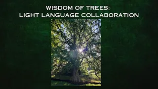 WISDOM OF TREES: LIGHT LANGUAGE COLLABORATION #energyhealing #lightlanguage #resilience #empowered