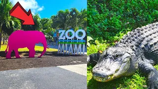 Miami Zoo Florida Walking Tour 2023