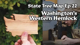 State Tree Map ep 22: Washington's Western Hemlock