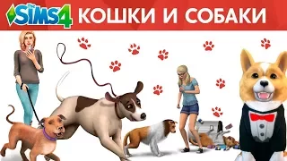 Как установить The Sims 4 КОШКИ И СОБАКИ? Решение проблем с zlOrigin