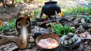 Primitive Technology: Cooking snake soup in the forest - Top 3 Cooking snakes