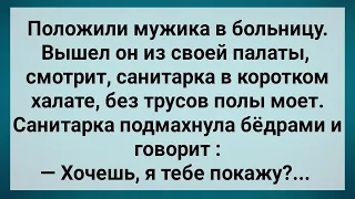 Санитарка в Больнице Показала Мужику! Сборник Свежих Анекдотов! Юмор!