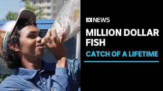 Top End teenager Keegan Payne catches million dollar fish | ABC News