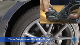 Tesla - What is that Squeak!?  Fix for Free