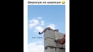 Прораб пришёл 😂😂