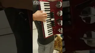 Best tik tok accordion meme ever 1