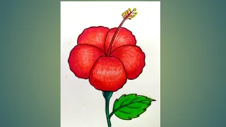 How to draw a China Rose easy/Hibiscus flower drawing step by step for beginners