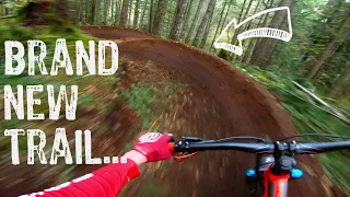 NEW Flow & Jump MTB Trails in Victoria, BC (4K) // Perfect for Riders of ANY Level!! // GoPro Hero 7