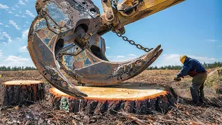 Incredible Monster Excavator Destroy Huge Stump Very Fast, Dangerous Whole Tree Removal Land Mulcher