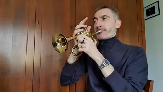 Piergiulio Mometti on Piccolo Trumpet [Bach Stradivarius Mod. 196 (Serial N. 401686)]