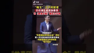 賭王之子何酋君，擔任湖北政協委員，上過最強大腦，碾壓眾學霸，太強了