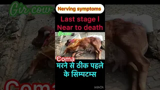 Coma l Near to death l nerving symptoms l Dr Umar Khan