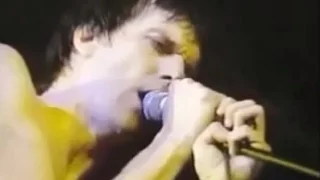 The Cramps - Tear It Up (Live  in Amsterdam 1990)