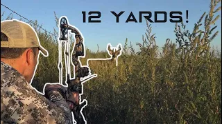 HUNTING PUBLIC in NEBRASKA! | BIG BUCK at 5 YARDS!!! | Bowhunting From the Ground!